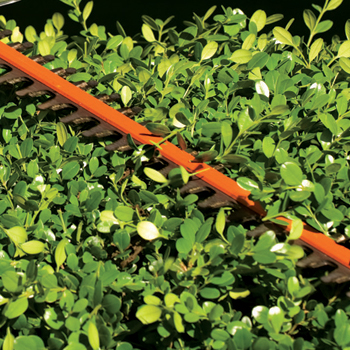 stihl hsa 66 for sale